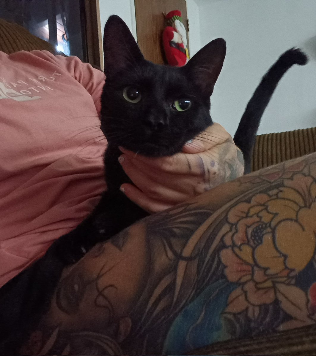 @idosomeart tweet media