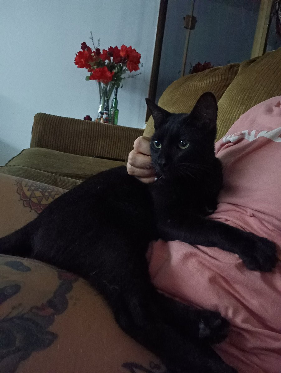 @idosomeart tweet media