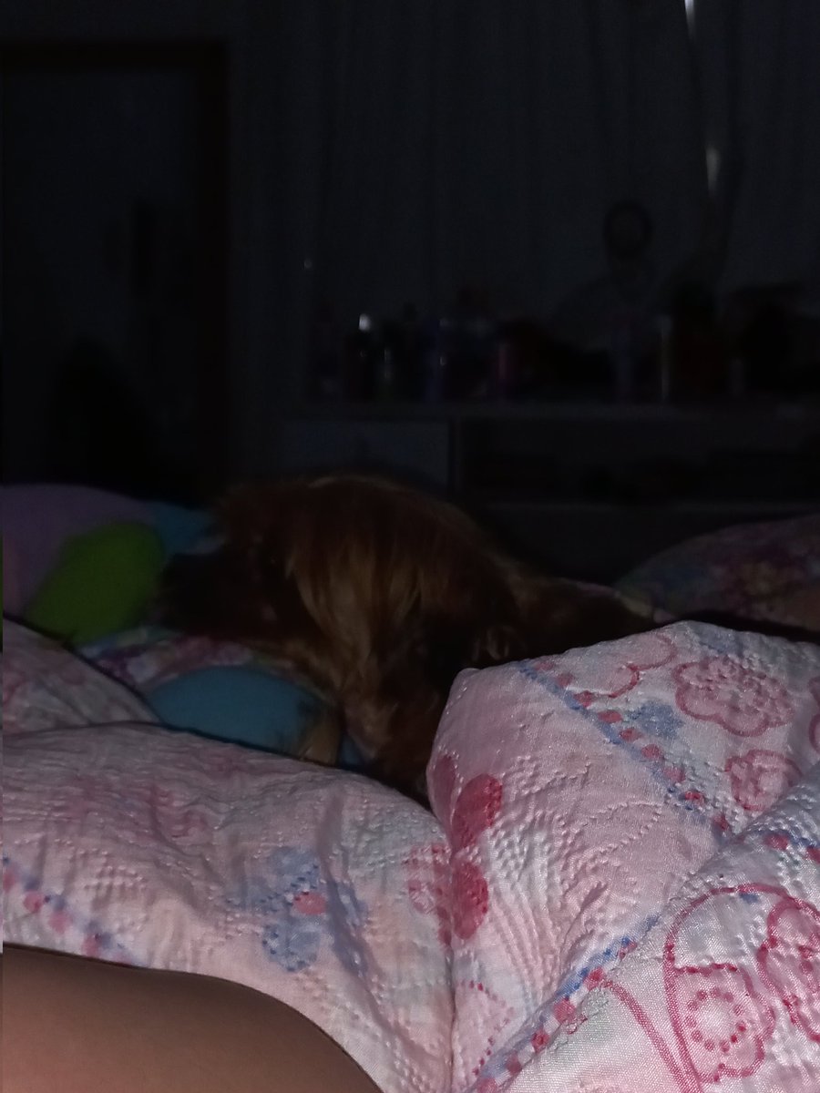 -jane ♿🇵🇸 tweet media