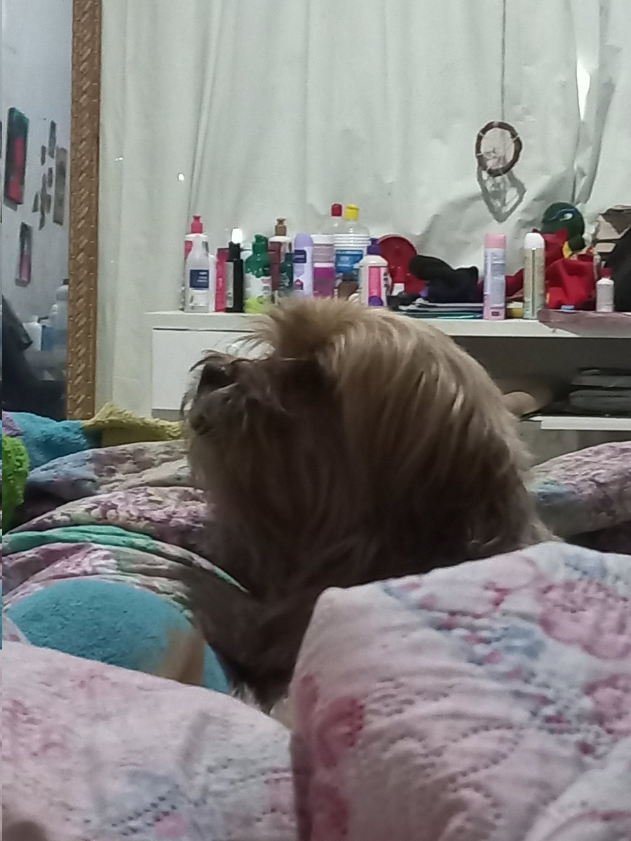 -jane ♿🇵🇸 tweet media