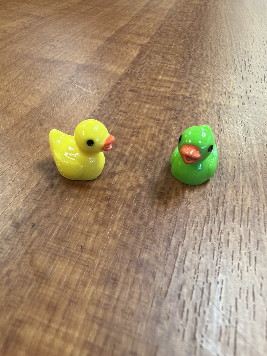 Having some fun celebrating staff in the next few weeks! Lucky Duck Scavenger Hunt is underway…raffle prizes coming soon! Be on the lookout!