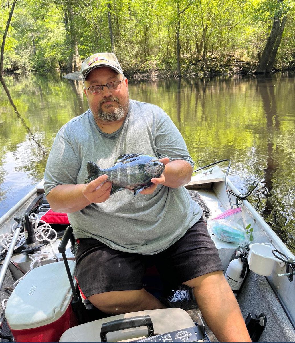 SatillaRK's tweet photo. What is the first lesson fish learn at school? That the end of a hook is the point of no return! 🤭🐟

You betta believe this is a mighty fine panfish, splendid catch Lino! https://t.co/lorzhvuvtg