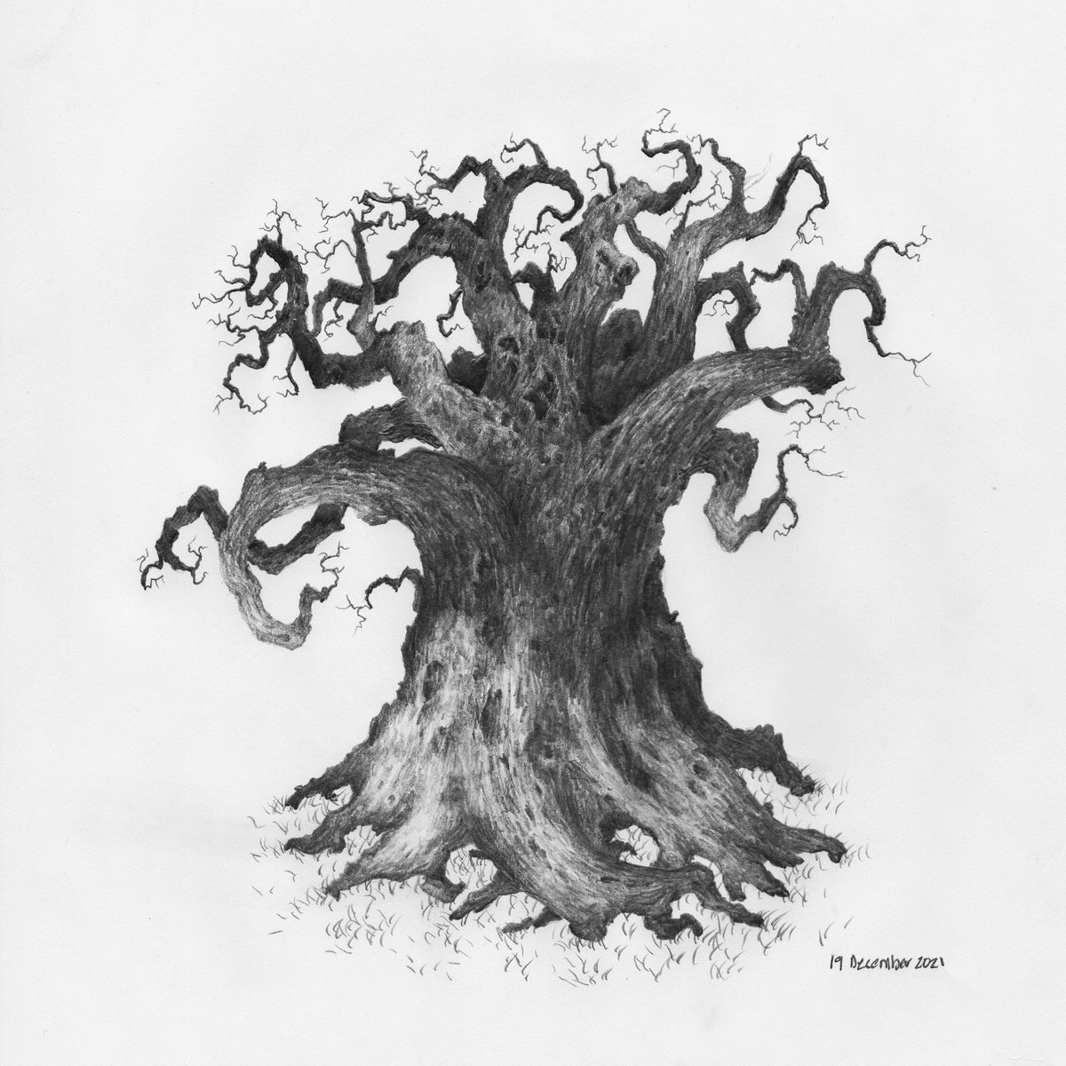 Owentree1's tweet photo. Berkana
#tree
#drawing https://t.co/AqVqM3wsg8