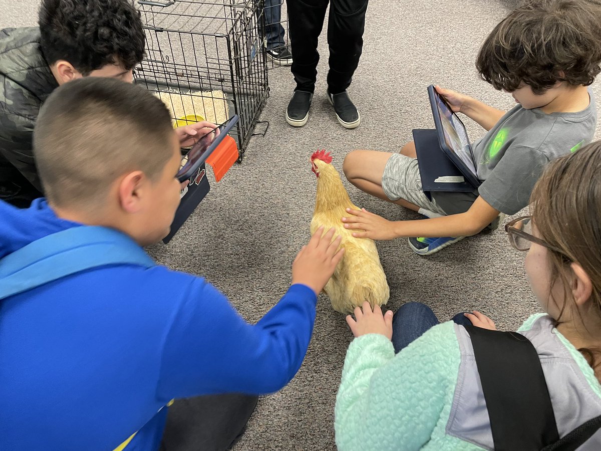 El Cerrito School tweet media