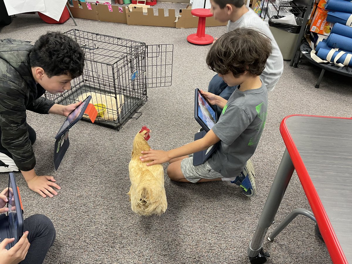 El Cerrito School tweet media