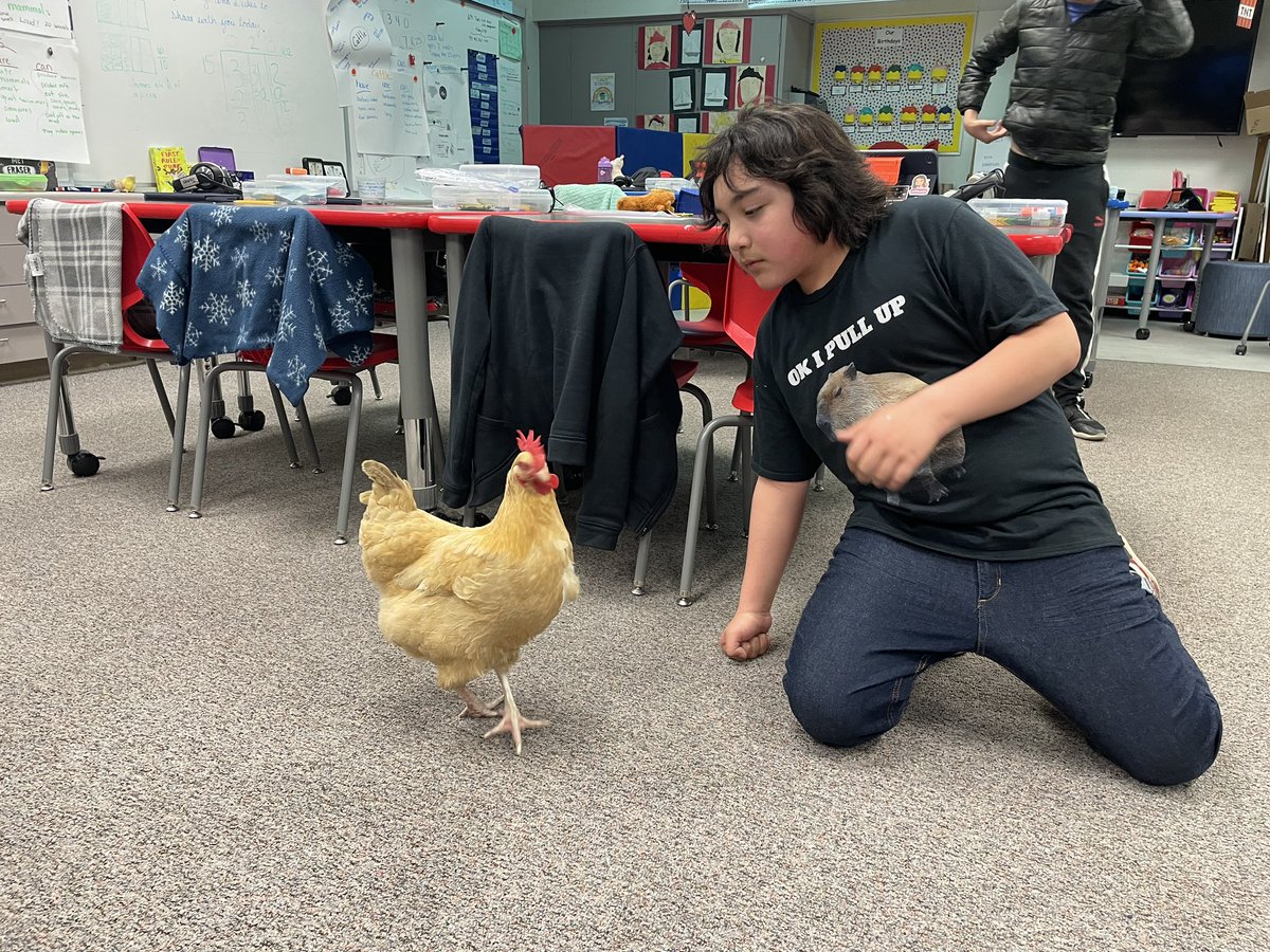 El Cerrito School tweet media