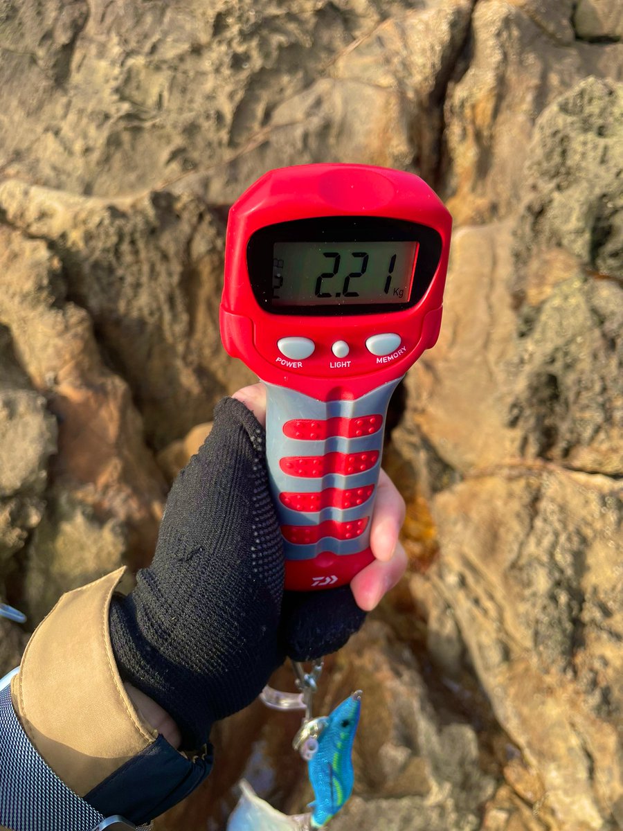wacchi9131's tweet photo. 少し遅れましたが、春が来ましたー！
朝マズメに2キロアップ！
価値ある一杯となりました🦑

#春イカ
#エギング
#エギK
#ブルーポーション
#ストイストRT
#エアリティ https://t.co/pndjUdNFJ6