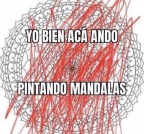 ccswiftieee's tweet image. bueno me devuelvo a comer milanesa y a dejar q los cc sigan aumentando hasta que recuperemos la cuenta🐈‍⬛