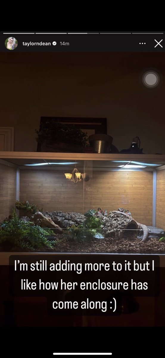 imasnark's tweet photo. Now april 2023 and taylor just “redid” bindis “temporary” cage. like What??? almost 2 years later isn’t very temporary for an animal who only has a lifespan of only 20years. (seems like a long life but 2 years out of 20 is a LOT) https://t.co/R913tEo0ng