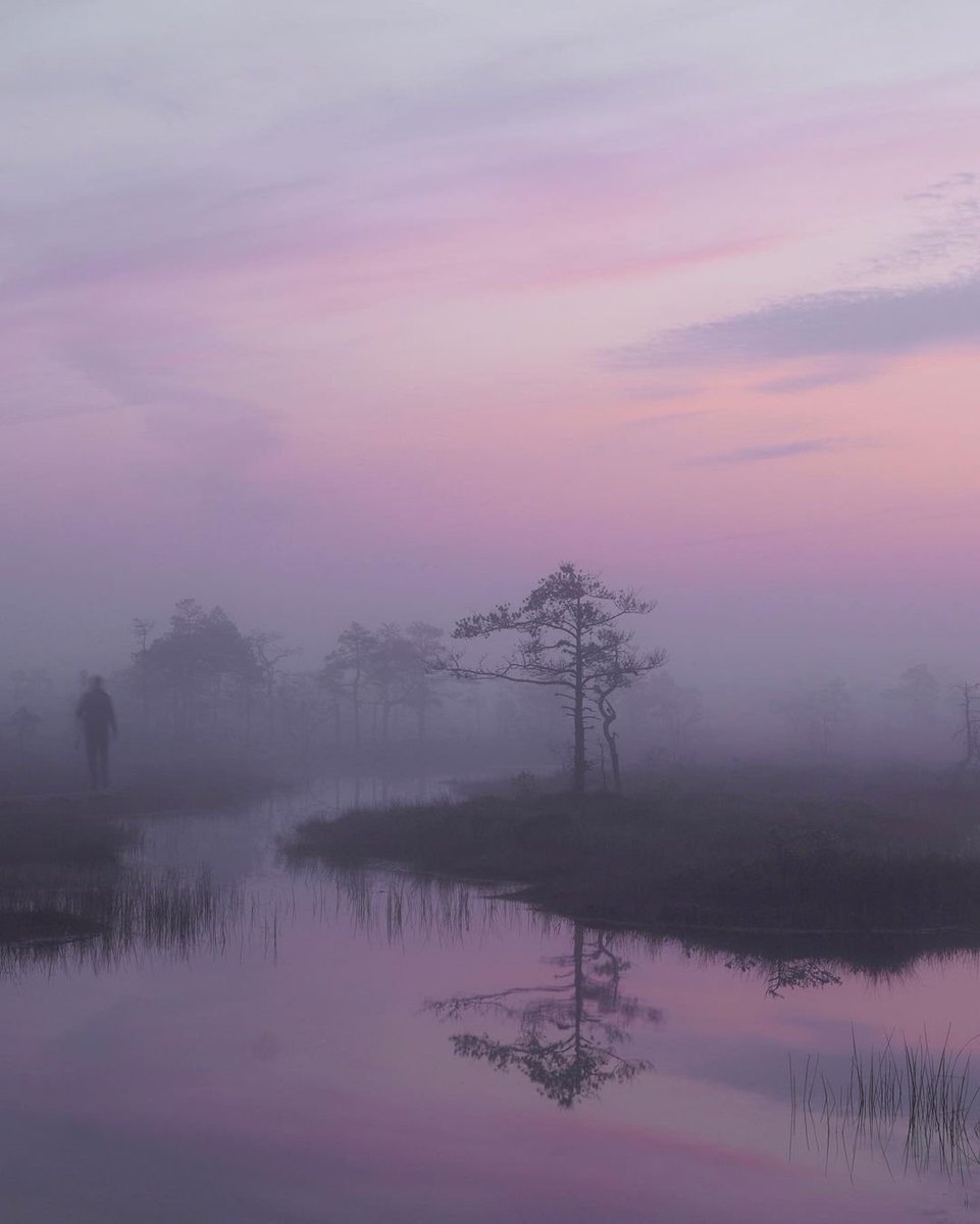 aestheticspost_'s tweet photo. lavender haze https://t.co/QalaqZzzwi