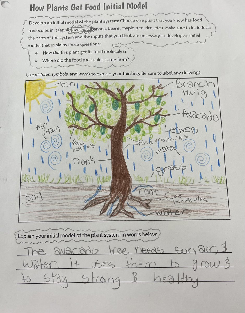MsWagnerWC's tweet photo. Had some very talented 7th grade scientists drawing models of what they thought a plant system needed to grow. Next stop…photosynthesis investigations! #d15learns @WinstonCampus @D15Schools https://t.co/16GnGTiy0e
