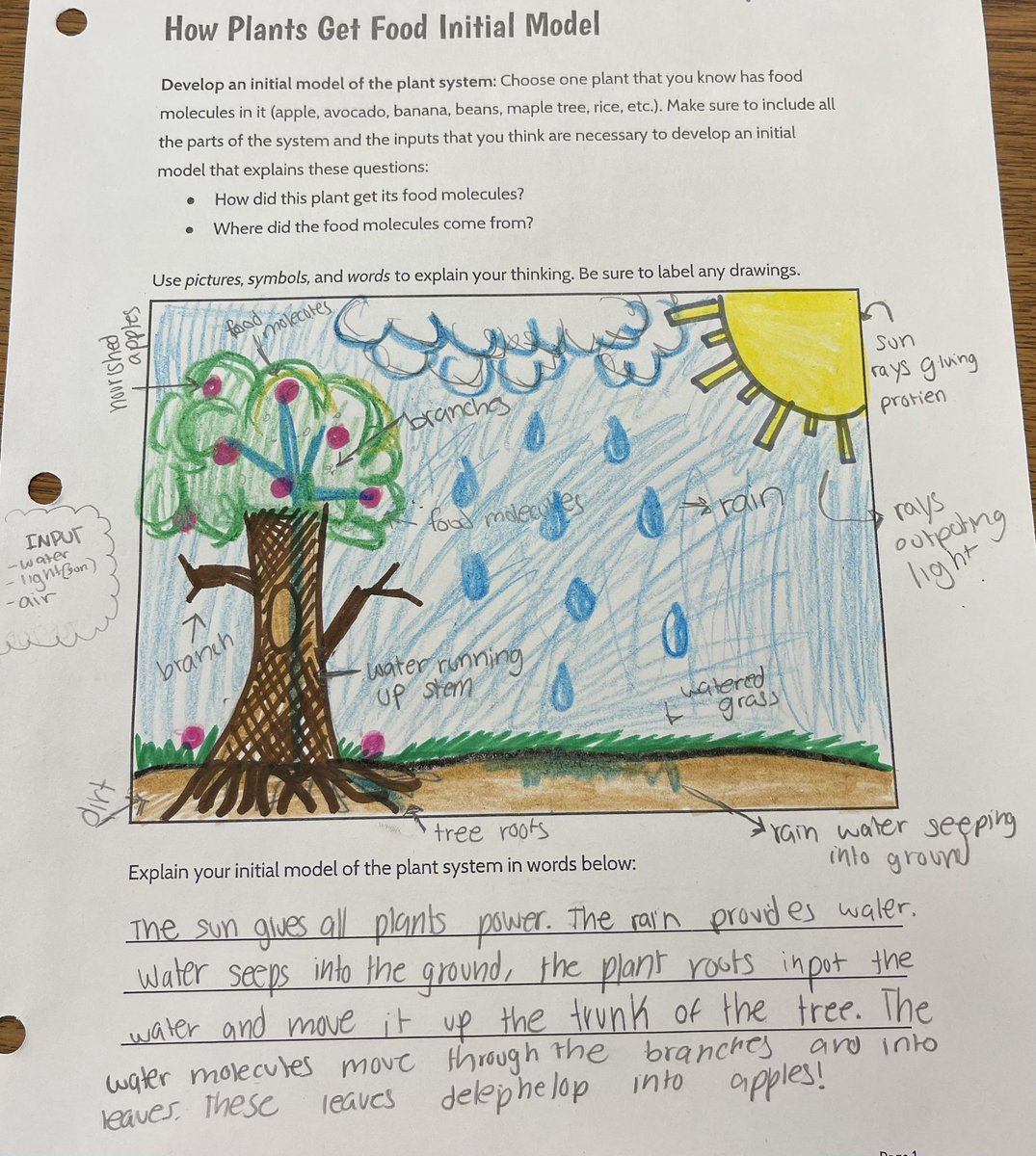 MsWagnerWC's tweet photo. Had some very talented 7th grade scientists drawing models of what they thought a plant system needed to grow. Next stop…photosynthesis investigations! #d15learns @WinstonCampus @D15Schools https://t.co/16GnGTiy0e