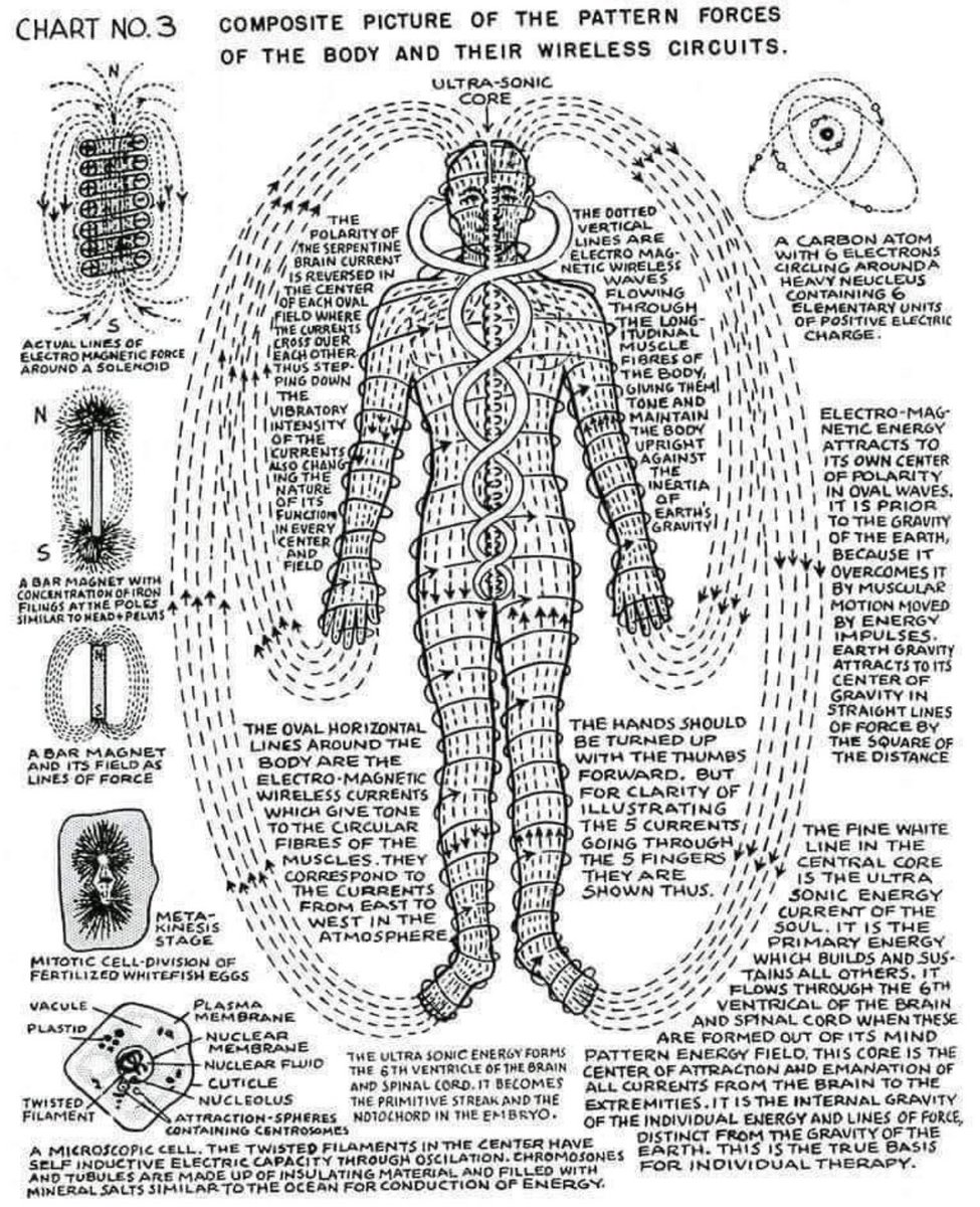 Your body is a battery