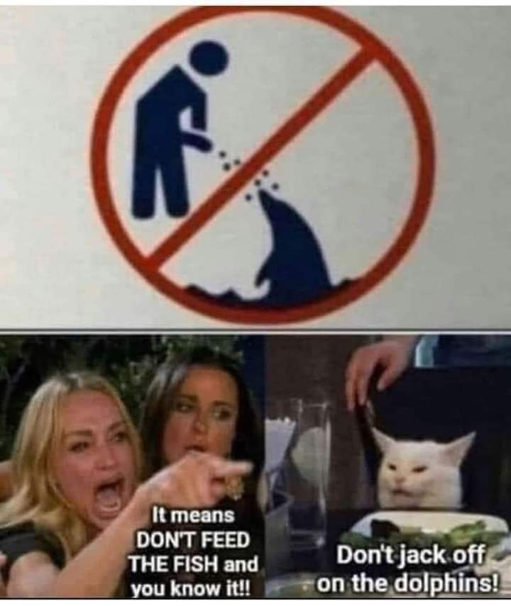 No_Body_45's tweet photo. @markslayersix Can you guess, who I thought of when I saw this?
Personally I thought it was a pretty "Rad" meme. https://t.co/3hJzCOejHr