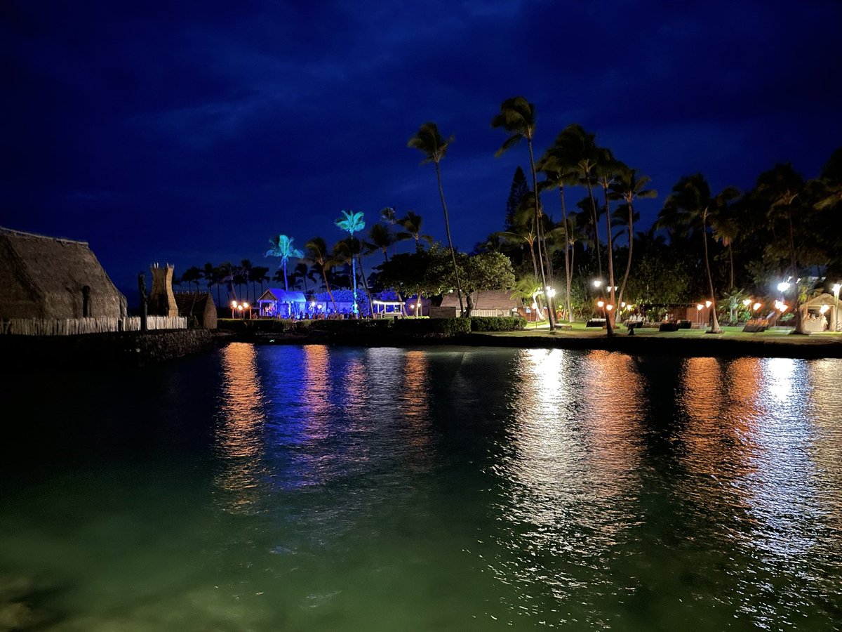 Excellent talks again today <a href="/VsdHawaii/">VSD Hawaii</a> . Example: macrophage involvement in ovary formation, screening for new sex genes, and generational effects of synthetic estrogens. Science- great career choice! (Conference location ain’t bad either.)