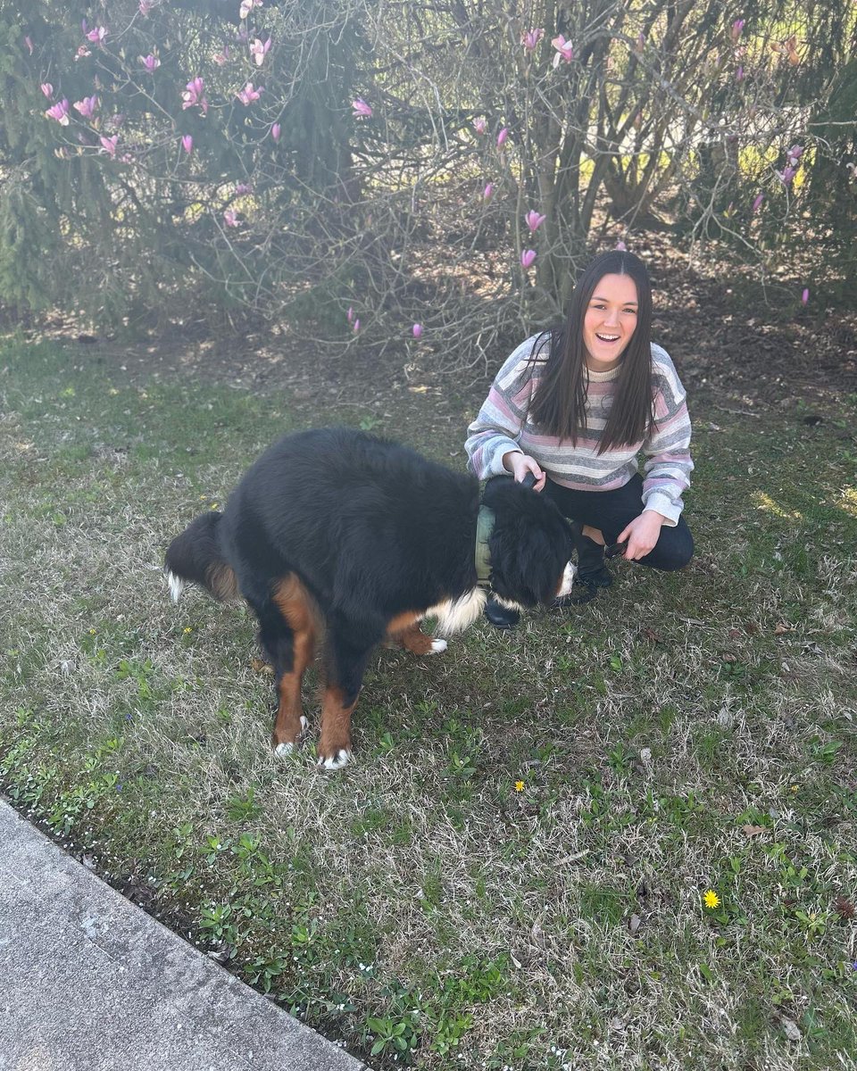 katex_13's tweet photo. @GlennonDoyle @AbbyWambach Expert Dog Tip: 11 month old puppies are very good at posing for pictures and always behave exactly how you expect for them to during said photos 😌 https://t.co/KamxVGb0ej
