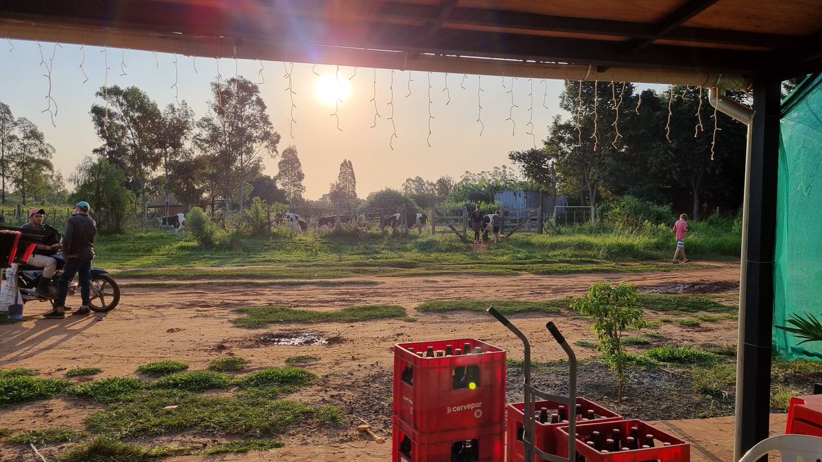 Abendsonne. Blick von Supermercado Alemán.