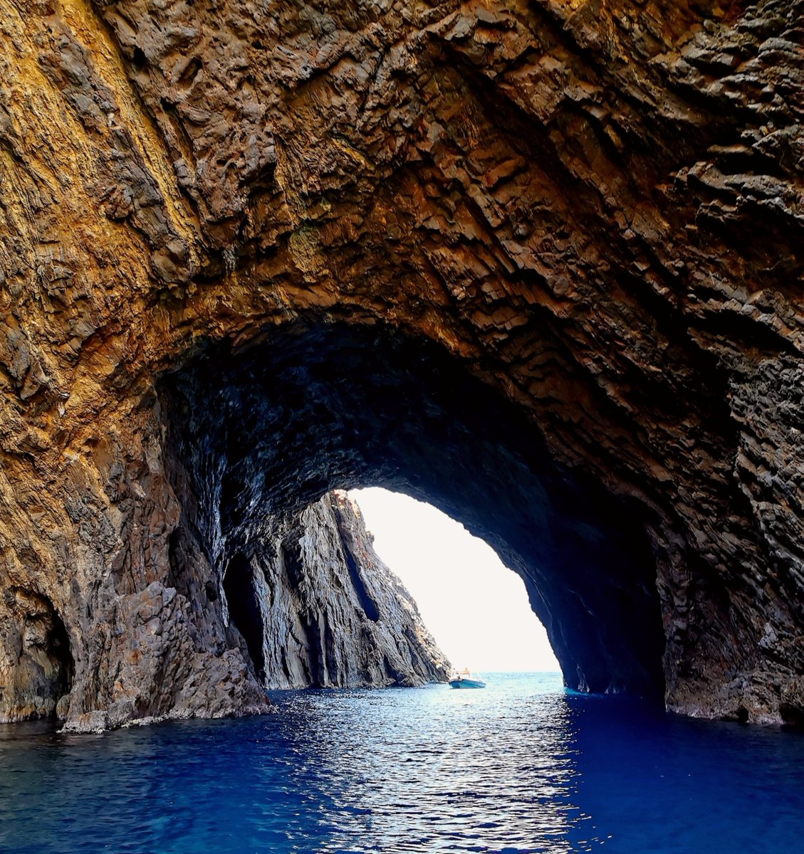 skinsofreality tweet media