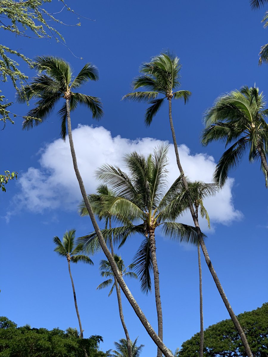 rick_redd's tweet image. Peace People