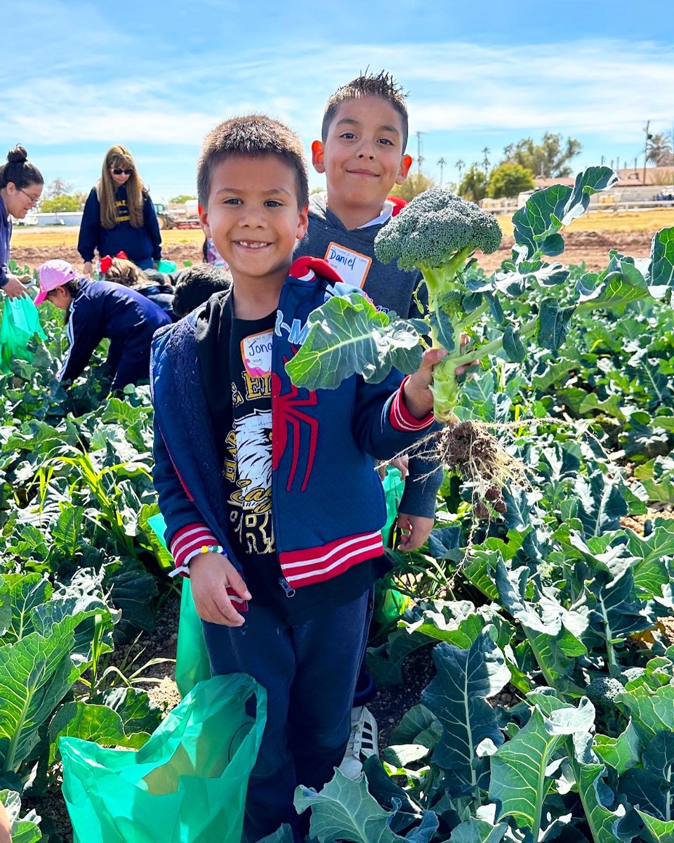 UCFarmSmart's tweet photo. Thank you to all the schools who brought their classes to explore Vegetable Adventures! Students and Staff from around the Imperial Valley were able to learn what plants need to grow. They discussed where our water comes from, different soil types, and where seeds come from! https://t.co/ZjJdWoomFJ