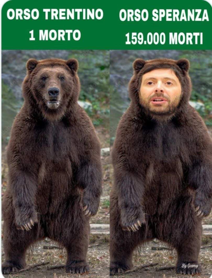 DanielaViva83's tweet photo. Date la caccia a Speranza #Italia #orso #verity #uomo #roma https://t.co/giZkKzUhMV