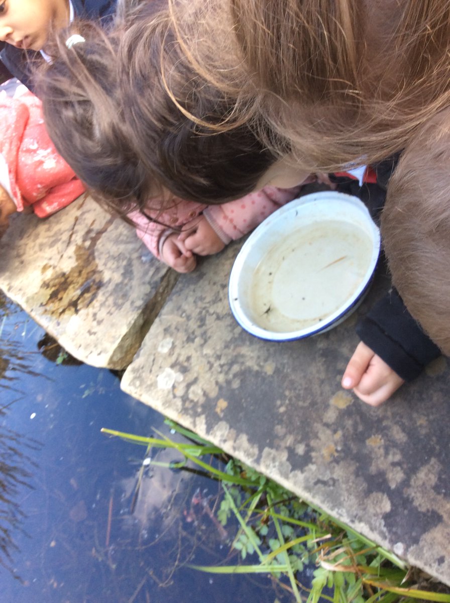 Great day <a href="/RSPB_OldMoor/">RSPB_OldMoor</a>. The weather was lovely and the children loved hunting for minibeasts on land and in the water. <a href="/redscopeprimary/">Redscope Primary</a>.