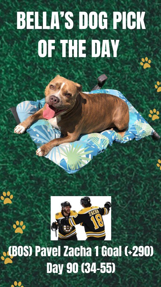 TheLocksOTD's tweet photo. 🐶BELLA'S DOG LOCK OTD🐶
‼️Overall Units +1255‼️
🔥BELLA IS ON FIRE🔥
🏒NHL PROP PLAY🏒
(BOS) Pavel Zacha 1 Goal (+290)
#bruins #NHL #hockey #NHLPlayoffs #boston #zacha #panthers #bella #dog #dogs #dogpick #betting #gambling #freepicks #free #gamblingtwitter #NHLBruins https://t.co/gFlW2hsGR3
