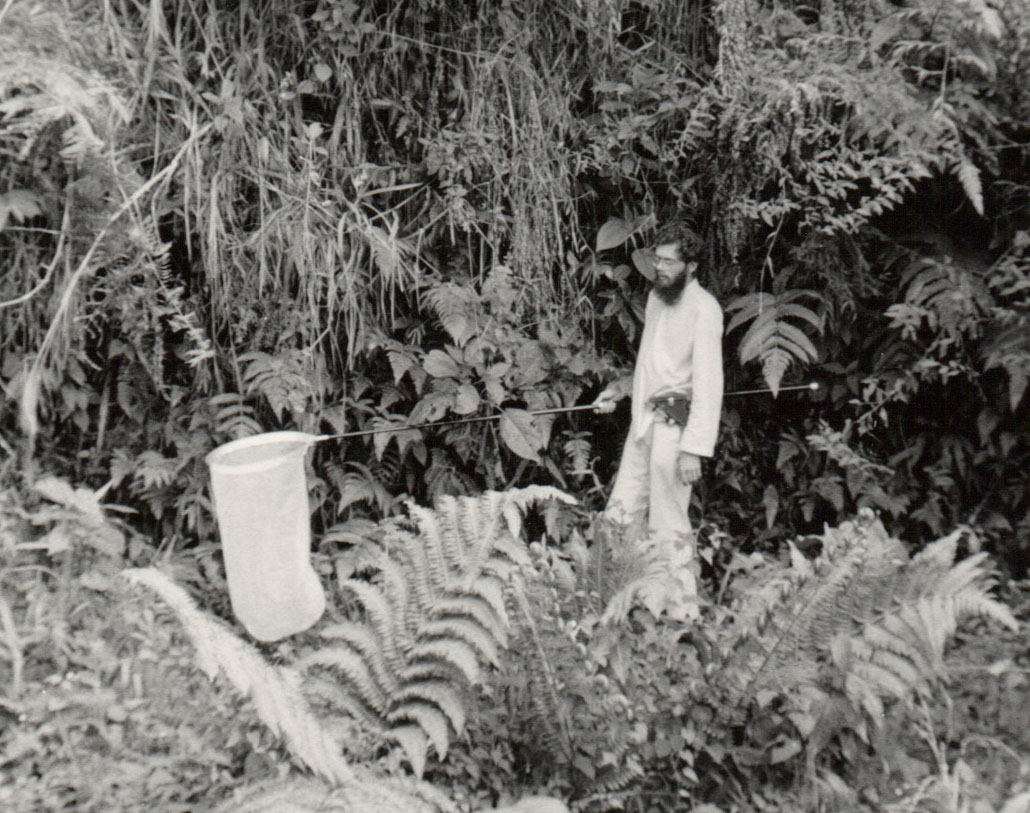 Tripsittermag's tweet photo. In 1969, Terence McKenna was smuggling hashish from Nepal and India to the US.
After one of his shipments was seized, he fled to Indonesia, where he became a professional butterfly collector. https://t.co/ob4mP6yI8Q