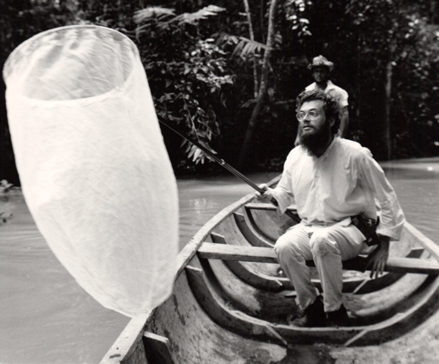 Tripsittermag's tweet photo. In 1969, Terence McKenna was smuggling hashish from Nepal and India to the US.
After one of his shipments was seized, he fled to Indonesia, where he became a professional butterfly collector. https://t.co/ob4mP6yI8Q