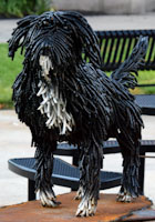 Allied Arts Council tweet media