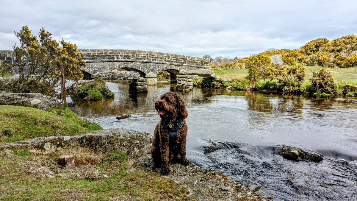 R4echK's tweet photo. Escaping from life. Where else would perfectly fit the brief than #Dartmoor 🤩 https://t.co/d3hSJh9dhX