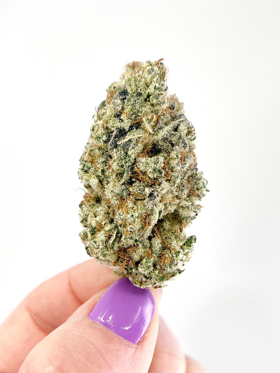 great_farms's tweet photo. BC Retailers! Hit up @BCBlackCannabis to get some of our French Fire Barb. We run four small 8 bulb rooms, hand water, hang dry and cold cure for weeks, hand trim and only grow what we love to puff. https://t.co/1oSkPvWRJP
