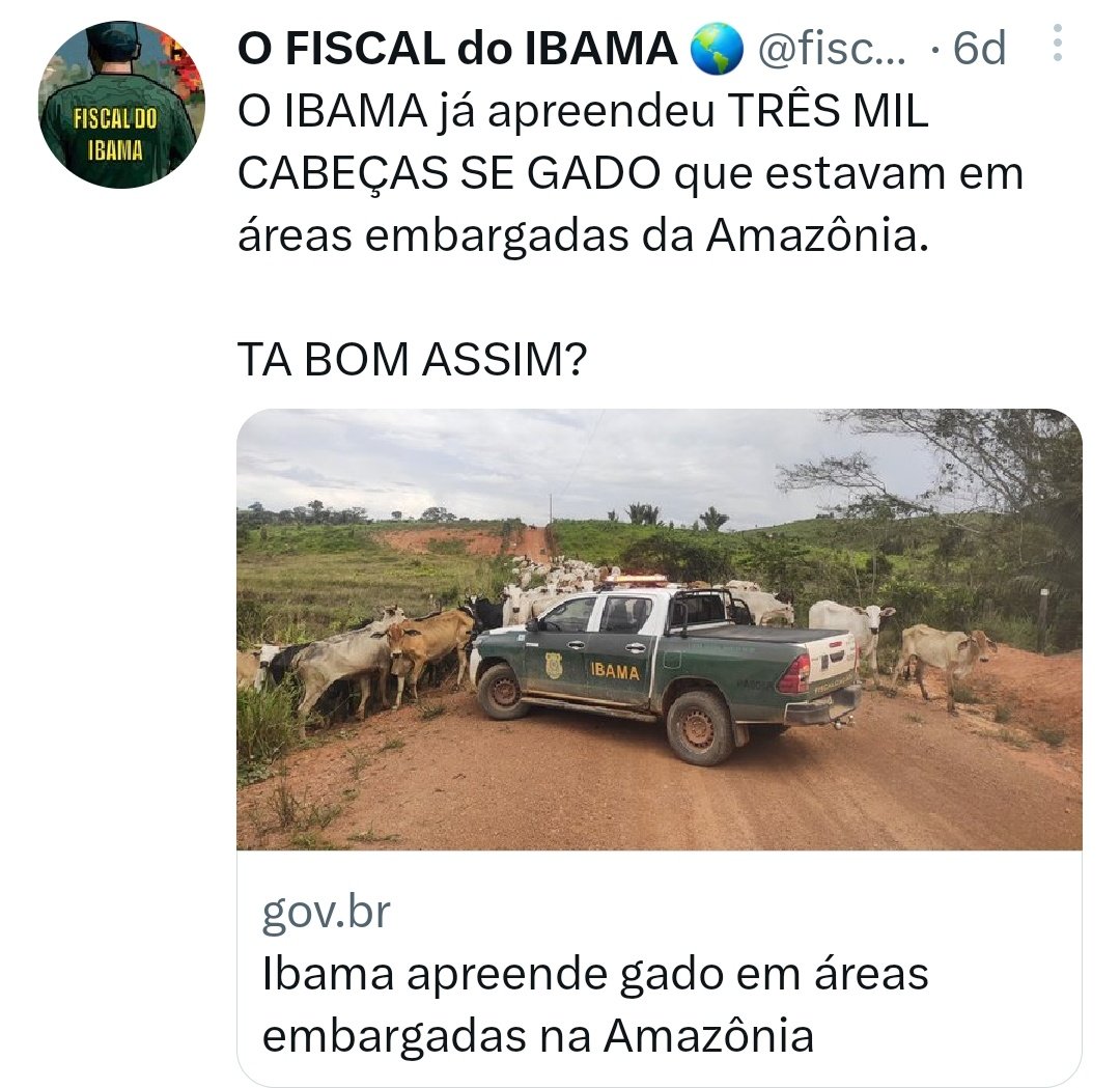 fiscaldoibama's tweet photo. "AI, O IBAMA TEM MAIS OQ FAZER"

TEMOS e estamos fazendo.

Os números não mentem: O IBAMA VOLTOU, combatendo TODO TIPO DE IRREGULARIDADE, sem dó e sem passar pano, mesmo com poucos servidores.

Quer saber de mais ações? Siga @ibamagov @mmeioambiente @fiscaldoibama

E siga a LEI. https://t.co/dGajso8bDp