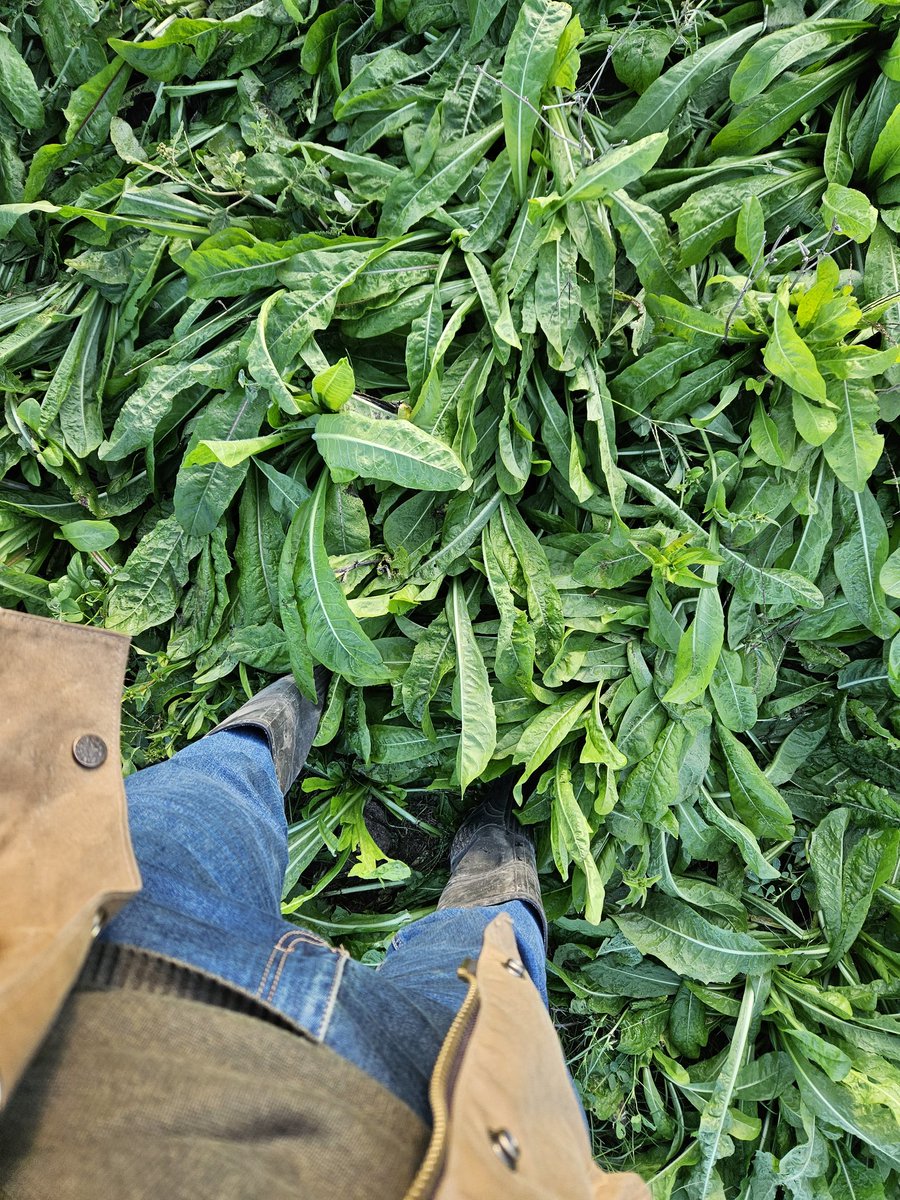 Paul Apolant tweet media