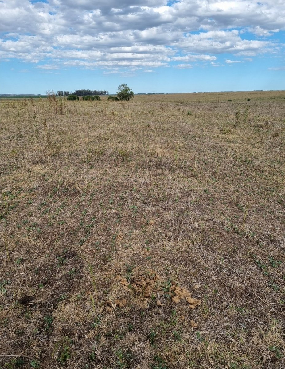 Paul Apolant tweet media