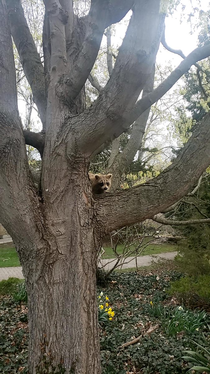 wrwilm's tweet photo. Wrwilm found another friend in the same User vault next day at this location! Join me playing #coinhuntworld, It's awesome! https://t.co/QkzzX1XFz5 #cryptocurrency #93576 https://t.co/34R74qLZuZ