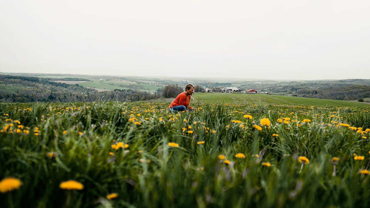 US food waste equates to roughly 170M MT of CO2 a year (2021 EPA report) As the largest food-rescue organization in our nation, Feeding America helps to rescue food before it goes to waste, delivering it to people in need

Earth Day is in 3 days: how are you helping the planet?🌎