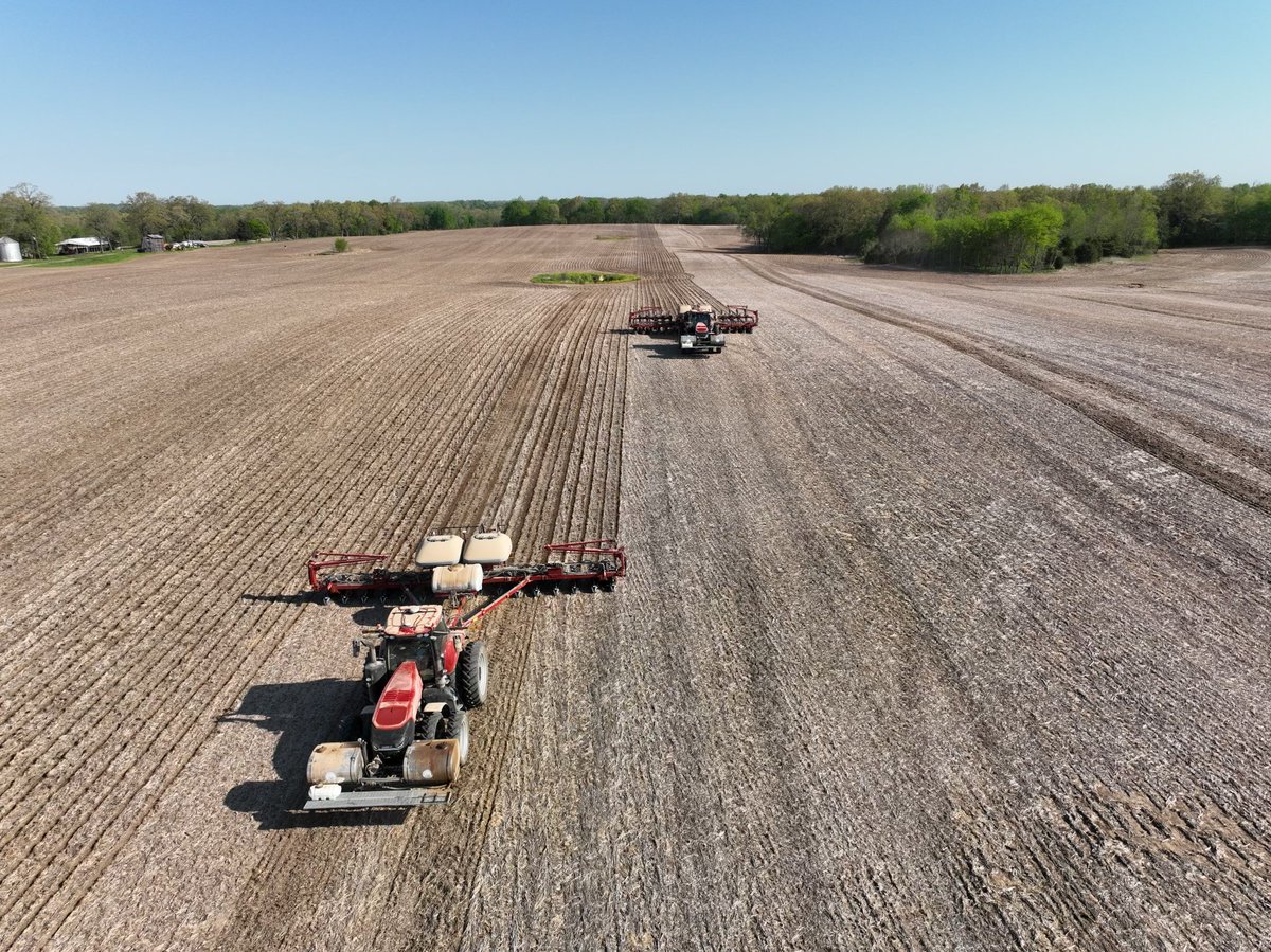 BrandonHunt340's tweet photo. 🏁🏁🏁 Checkered flags are out, coming down the backstretch off turn 4.  Rearview mirror is wide open   Bring em on home boys bring em on home!!!   Great run with some of the best in the business @Case_IH @flightdubs @MartinTill_SM   #farmlife #plant23 https://t.co/rUN9wnSGRs