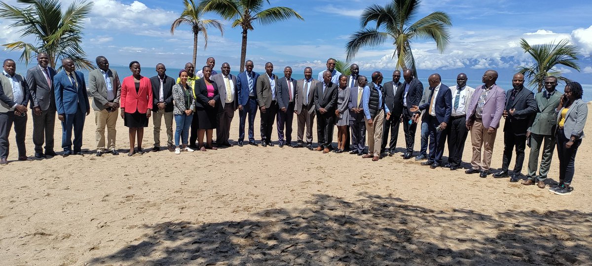 Cezzy KANIONGA tweet media