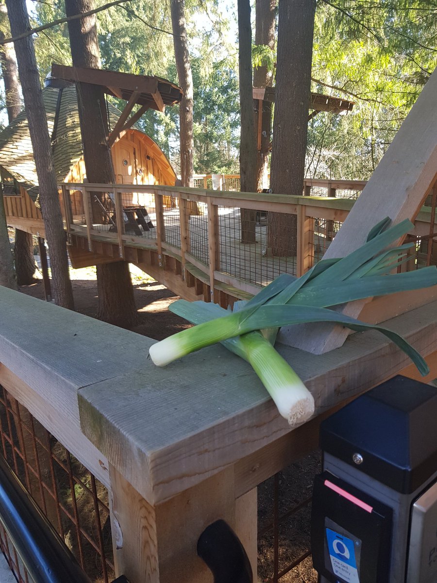 MVP leeks tweet media