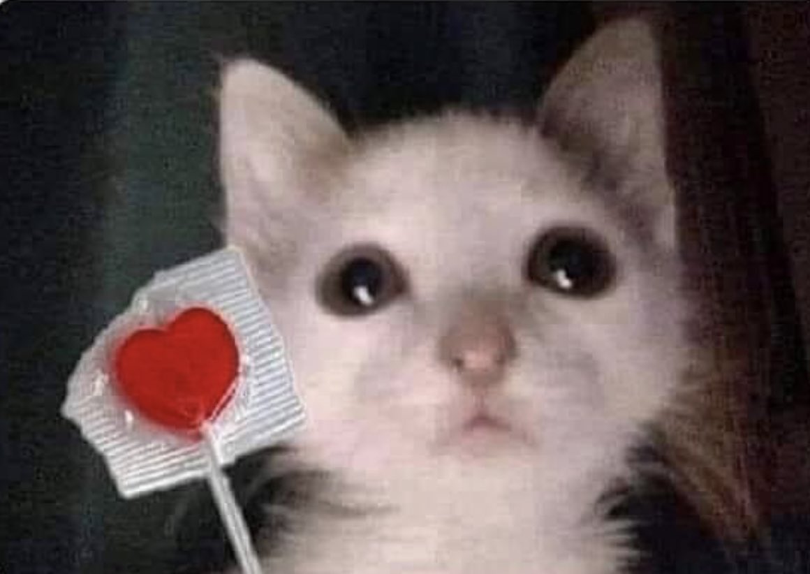 ivitois's tweet photo. tengo una cantidad de amor para dar necesito que alguien venga ya a que lo llene de atención y afecto xq esto me desborda soy literalmente este https://t.co/wfF8GfqWCc