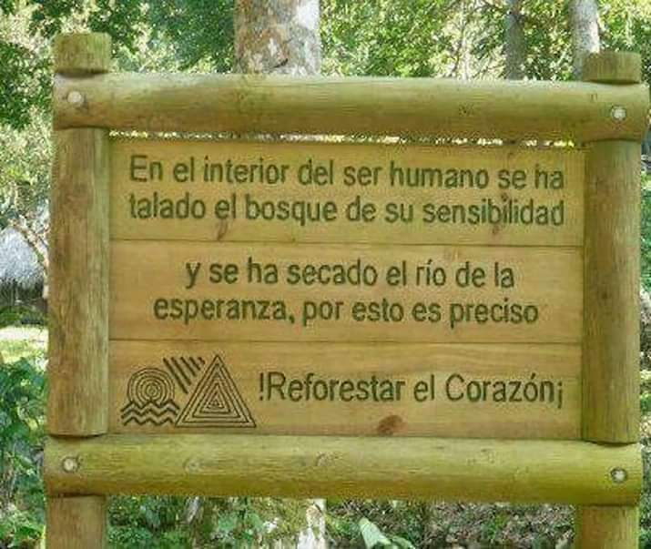 CasioMexico_'s tweet photo. @LNatmora Justo hace 2 minutos me encontré con esta imagen y me pareció maravillosa, ahora con su tuit se complementa a la perfección. https://t.co/KJpqv88ZoI