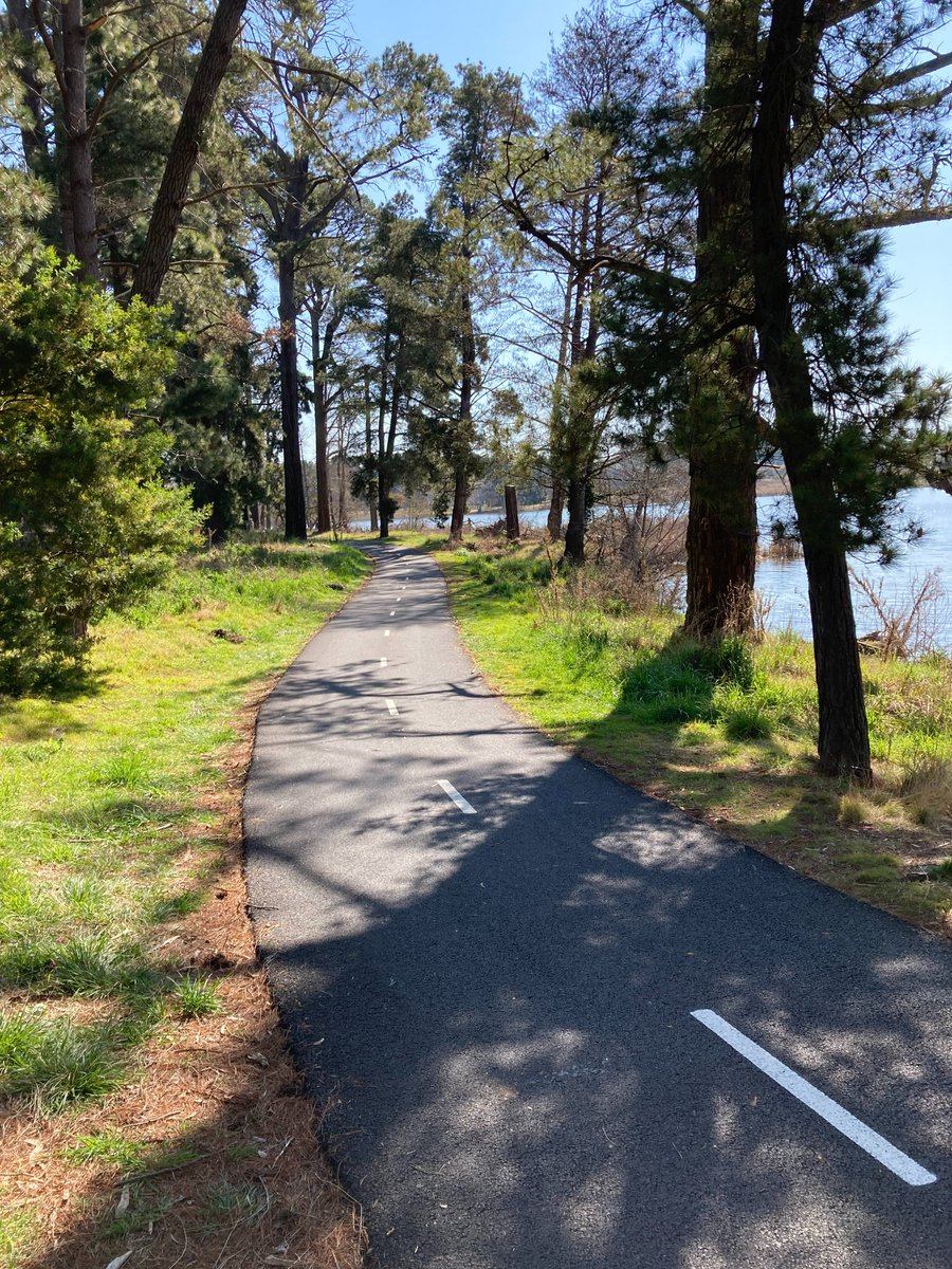 YamagamiShingo's tweet photo. The most memorable part of Canberra for me are the many 🚴 roads around Lake Burley-Griffin.
I’ve ridden 4600kms over 28 months! The legs are heavy, but the spirit is willing..
All roads lead to Canberra, give or take a few roundabouts along the way 😄 https://t.co/JYcAzCyXAh