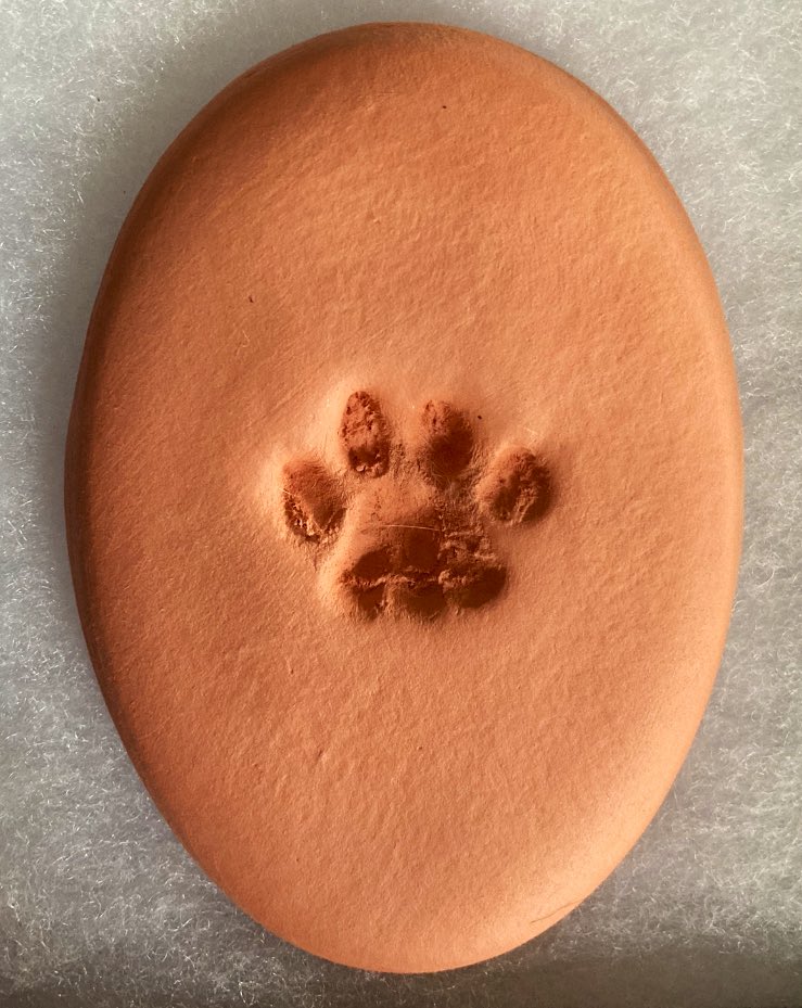 BaileyHelena's tweet photo. And on a less happy note, we got Bella back today. Just need to print out a nice picture for her photo box. But we also got a clay paw print, and I got a silver charm of her actual paw print sized down. My mom and I can’t stop crying. We all love and miss you so much, Bella. 💖 https://t.co/IlG4trVphP