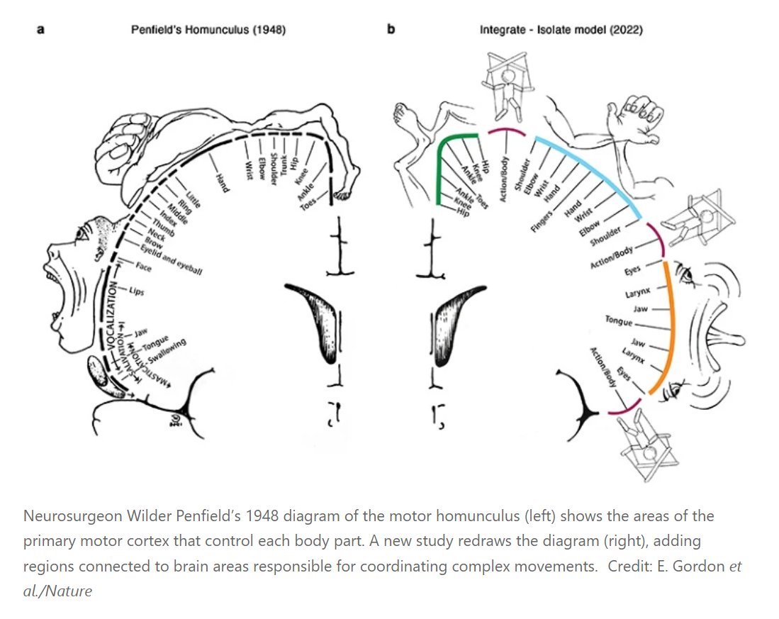Steve Stewart-Williams on Twitter: 