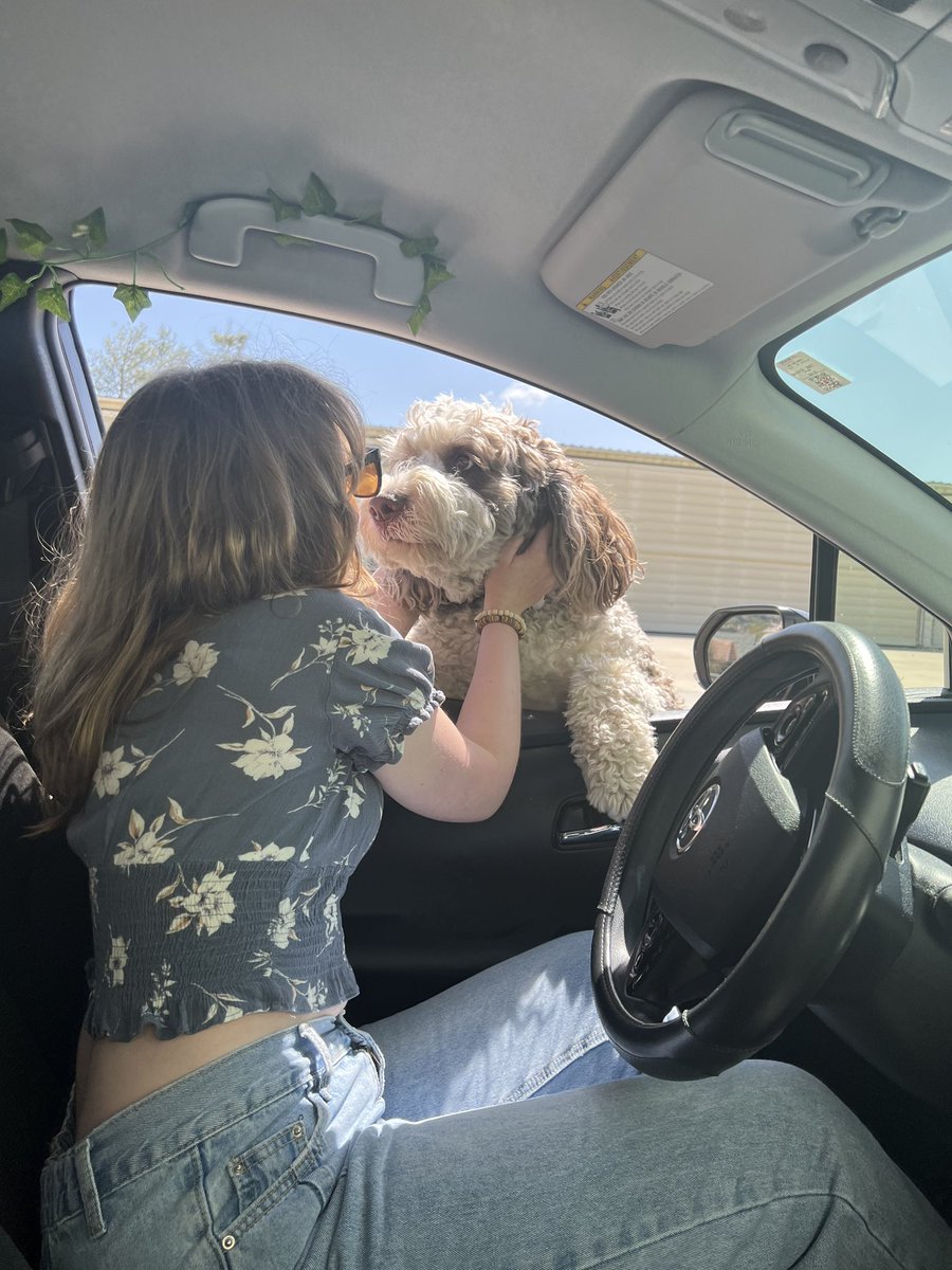 Currently near San Diego shooting final documentary for the semester on a pilot who rescues dogs and flies them across the state. As soon as we pulled up to the hanger, a friend jumped on my car to say hi. #305tweets