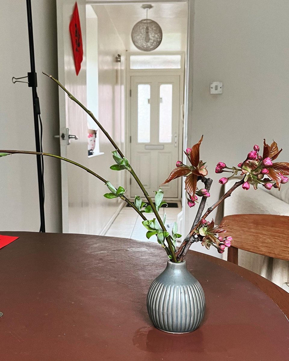 ChiananTao1's tweet photo. The cherry blossom branch started flowering yesterday and same with the cherry blossoms trees in front of my house. Made a strawberry cherry blossom chiffon cake to match the scene.#cherryblossom #springdessert #桜生け花 #桜デザート https://t.co/yi0gIEsn2o