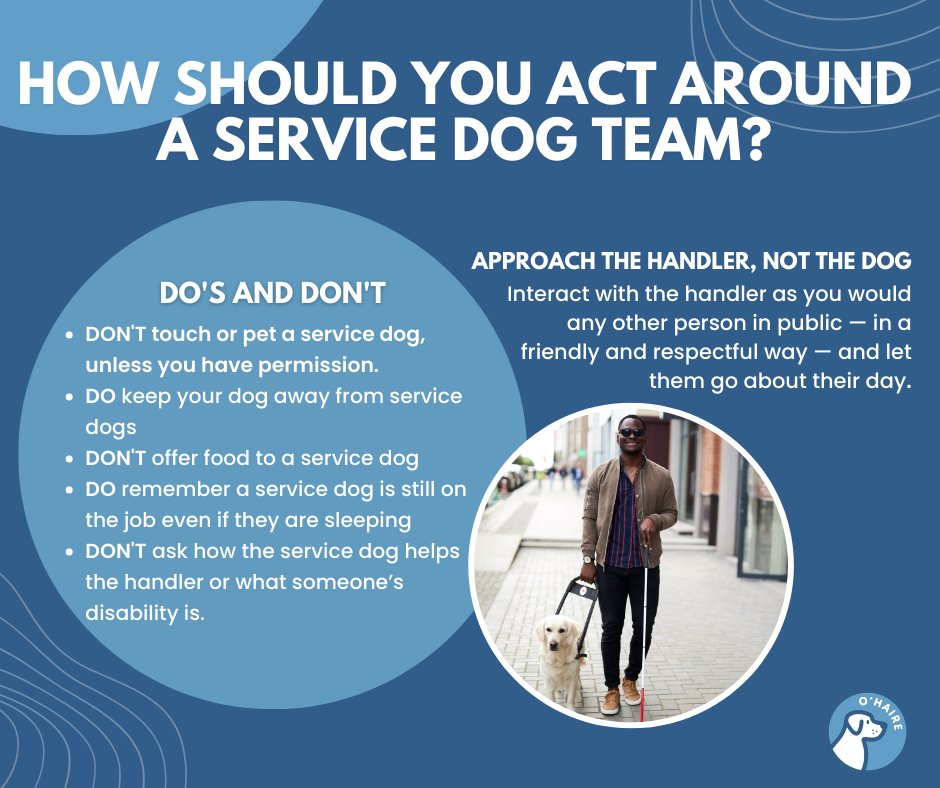 It's week two of our series on how to best interact with a service dog handler and their canine. This week we are looking at Do's and Don't of interacting with handlers and their service dogs. Follow us to see next week's tips!

#servicedog #etiquette #disabilityetiquette