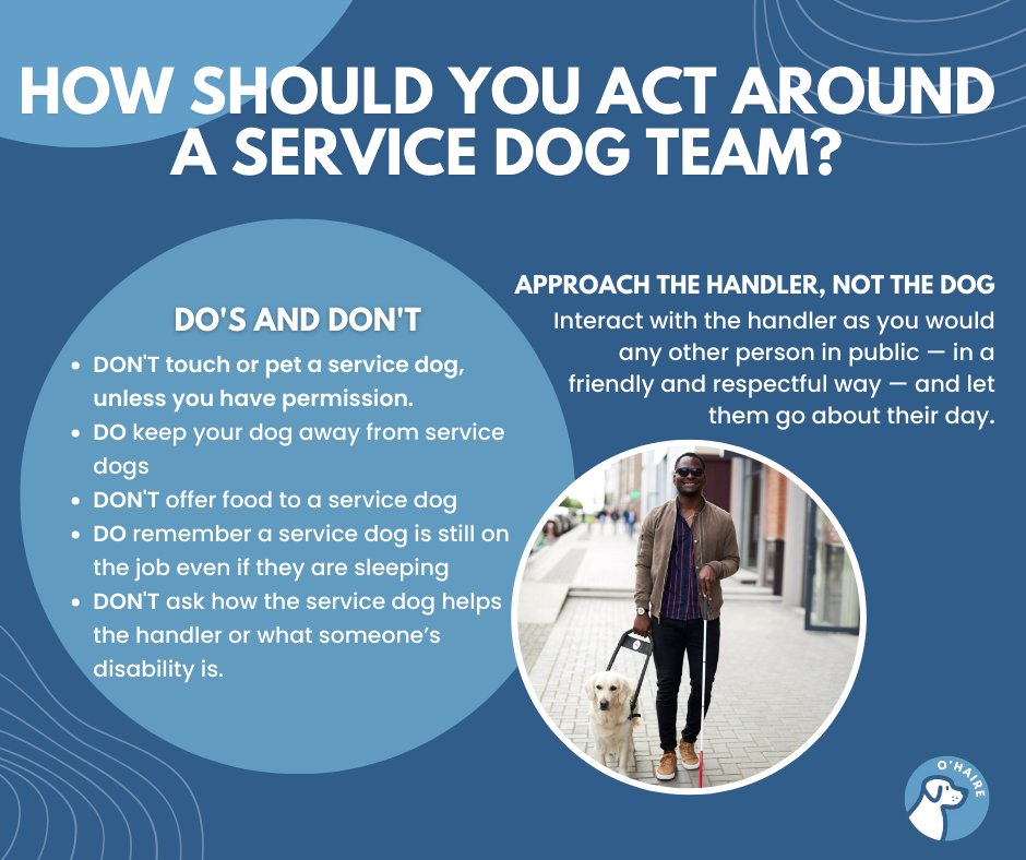 It's week two of our series on how to best interact with a service dog handler and their canine. This week we are looking at Do's and Don't of interacting with handlers and their service dogs. Follow us to see next week's tips! #servicedog #etiquette #disabilityetiquette