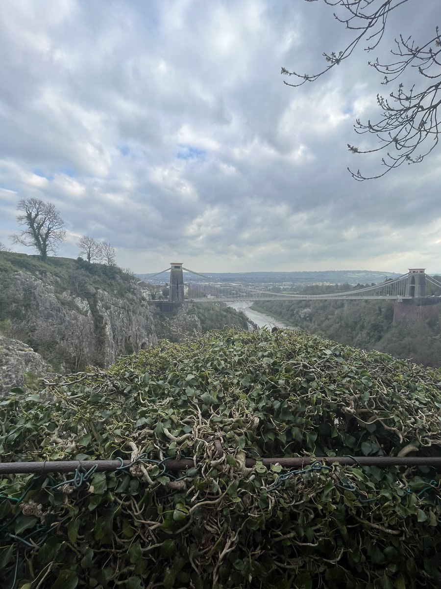 Esther Rosario tweet media